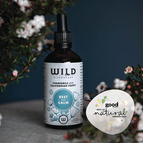 Your festive guide to holiday gifting - chosen by our team