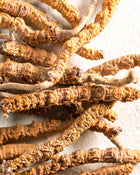 Close-up of dried ginseng roots on a textured surface