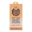 Reusable Short Straws 6 Pack + Cleaner