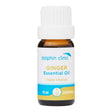 Ginger Pure Essential Oil