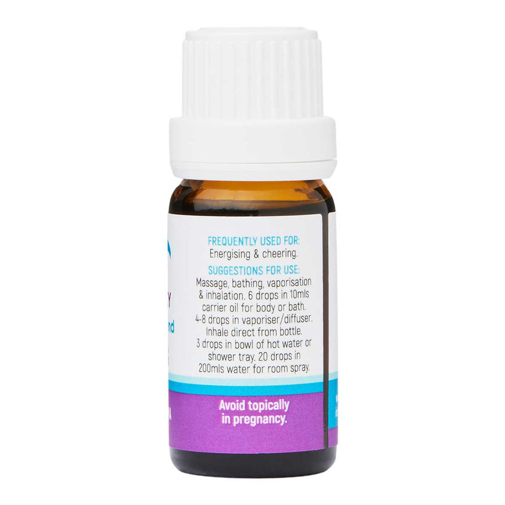 Dolphin Clinic Nicely Spicy Essential Oil Blend_1