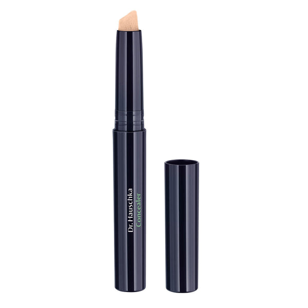 Concealer 02 Chestnut
