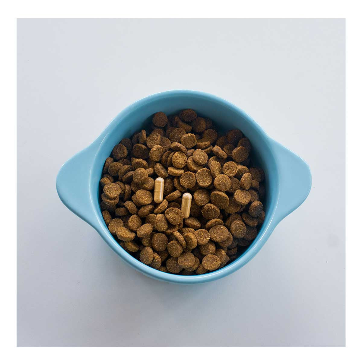 FlexiPaw Joint Health for Dogs - Green Lipped Mussel Extract 500mg _2