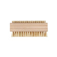 Nail Brush Tampico & Beechwood