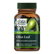 Olive Leaf