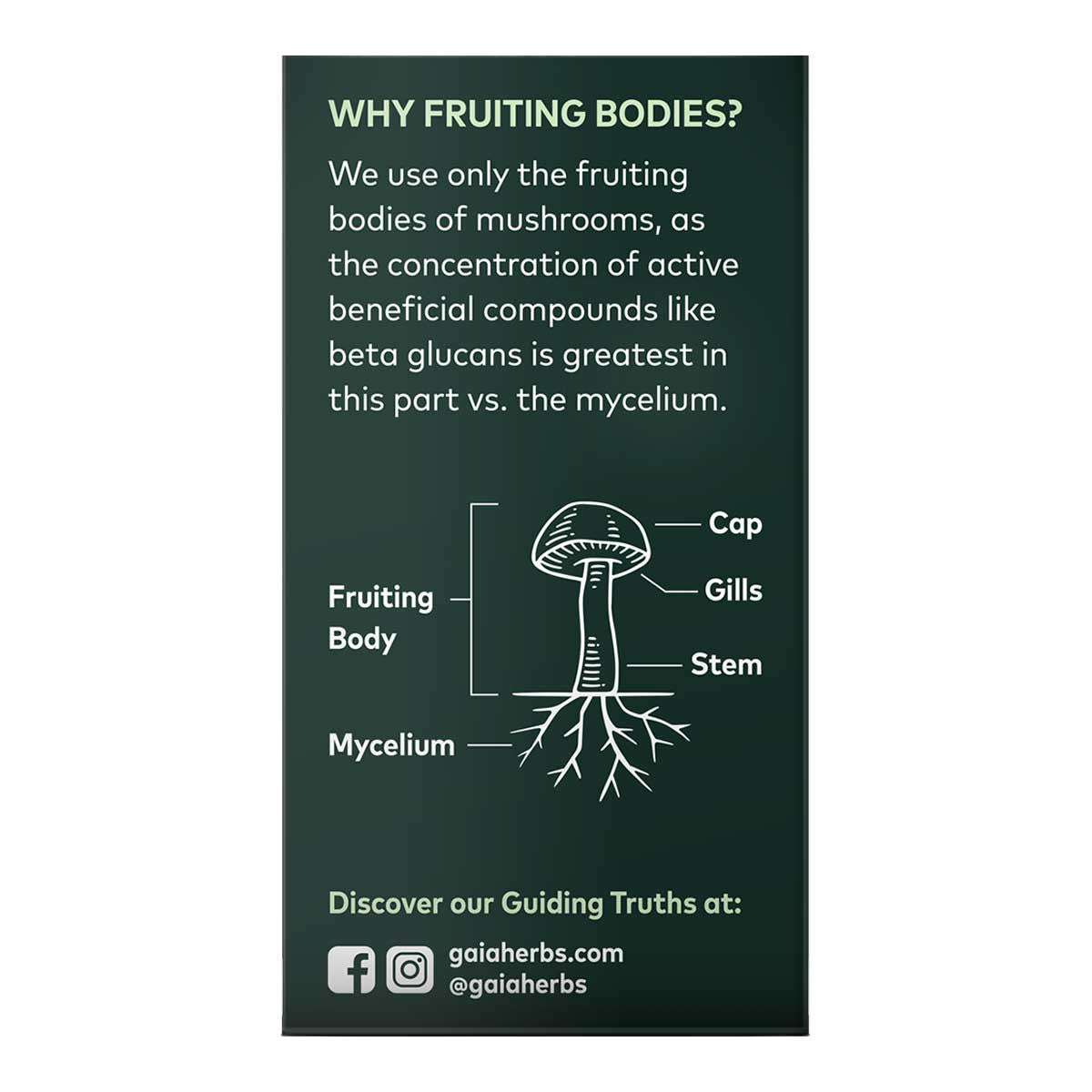 Gaia Herbs Reishi Mushroom Longevity Support _3