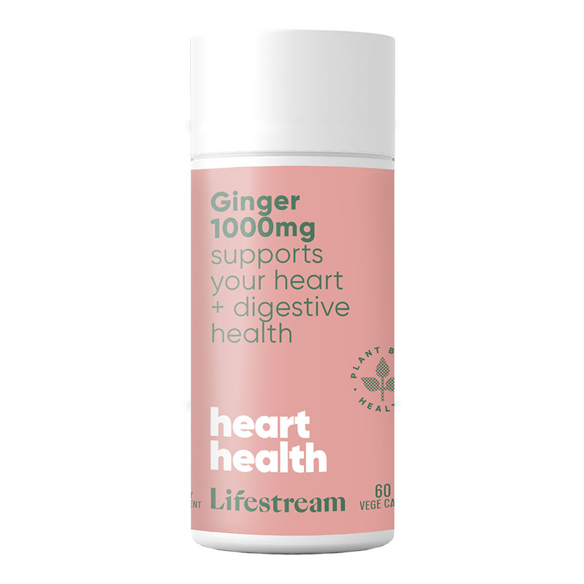 Lifestream Ginger 1000mg_1