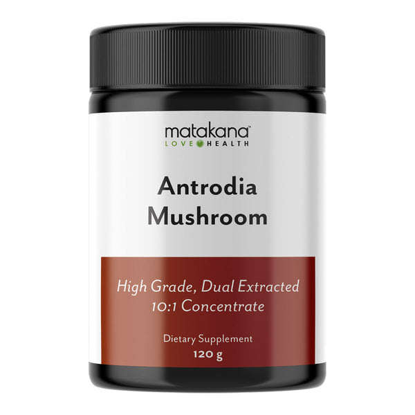 Antrodia Mushroom