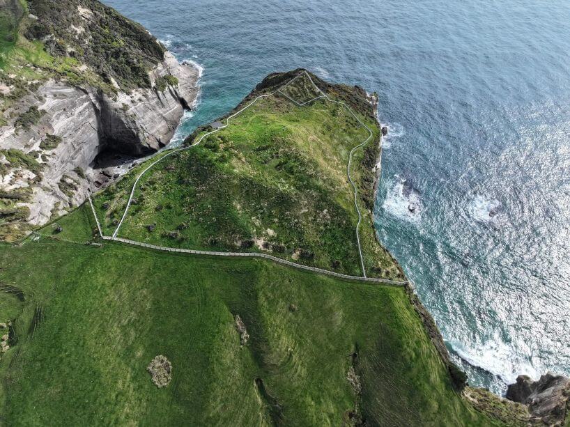 Birdseye view of predator proof fence on a coastline.