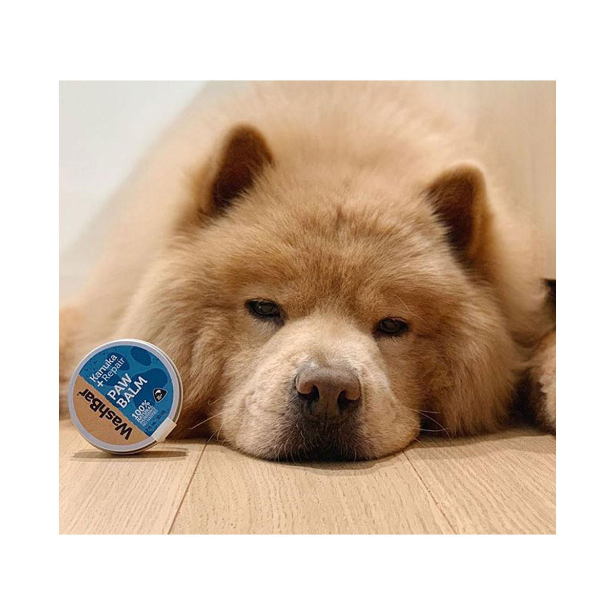 WashBar Paw Balm Kanuka Repair_2