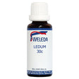 Ledum Palustre 30c